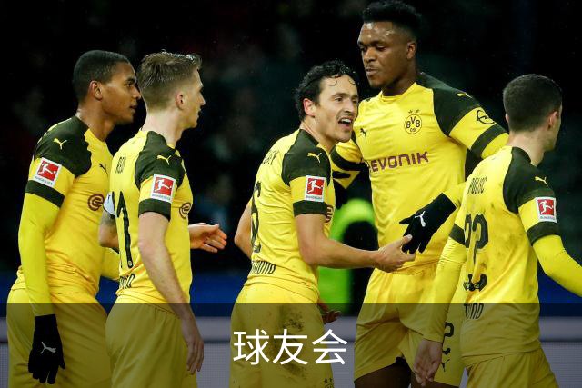 球友会公司介绍